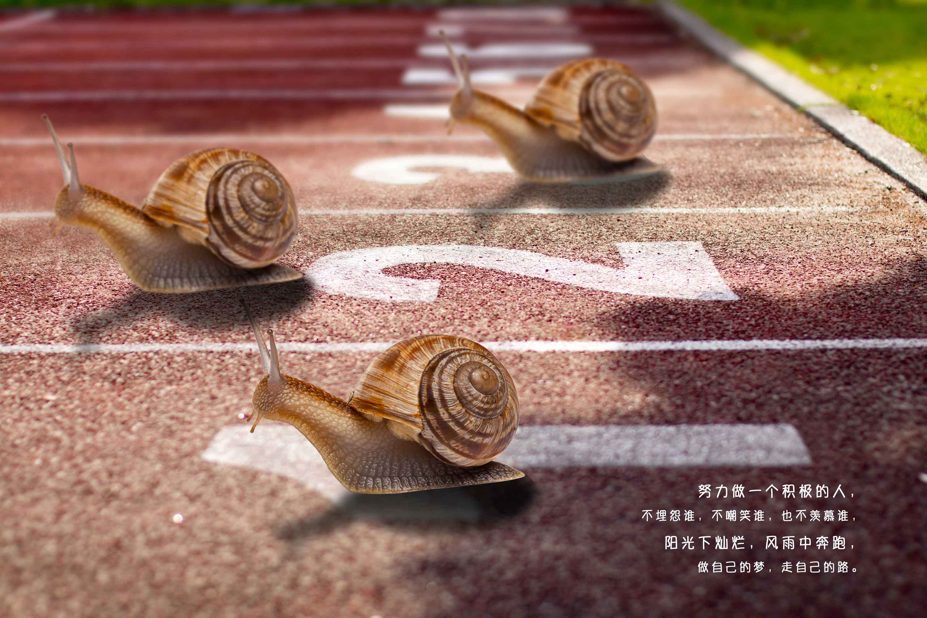 500465318-30k.jpg 500465318-30k.jpg